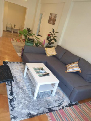 Lavender-Ryan spacious apartment for live and work in heart of Athens